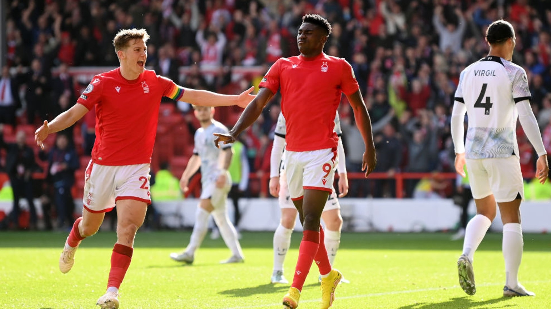 宣布的一则 宣布的一则